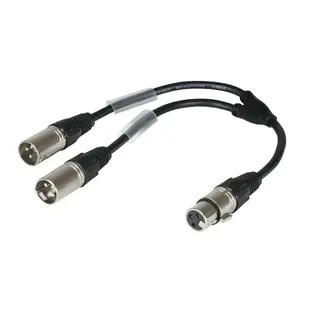 W Audio 0.25m XLR Female - 2x XLR Male Cable