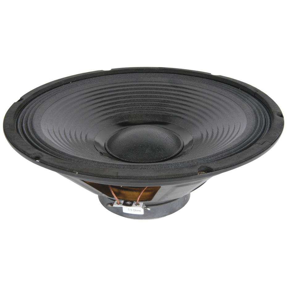 Replacement 12" 300W Bass Speaker Driver Cone 