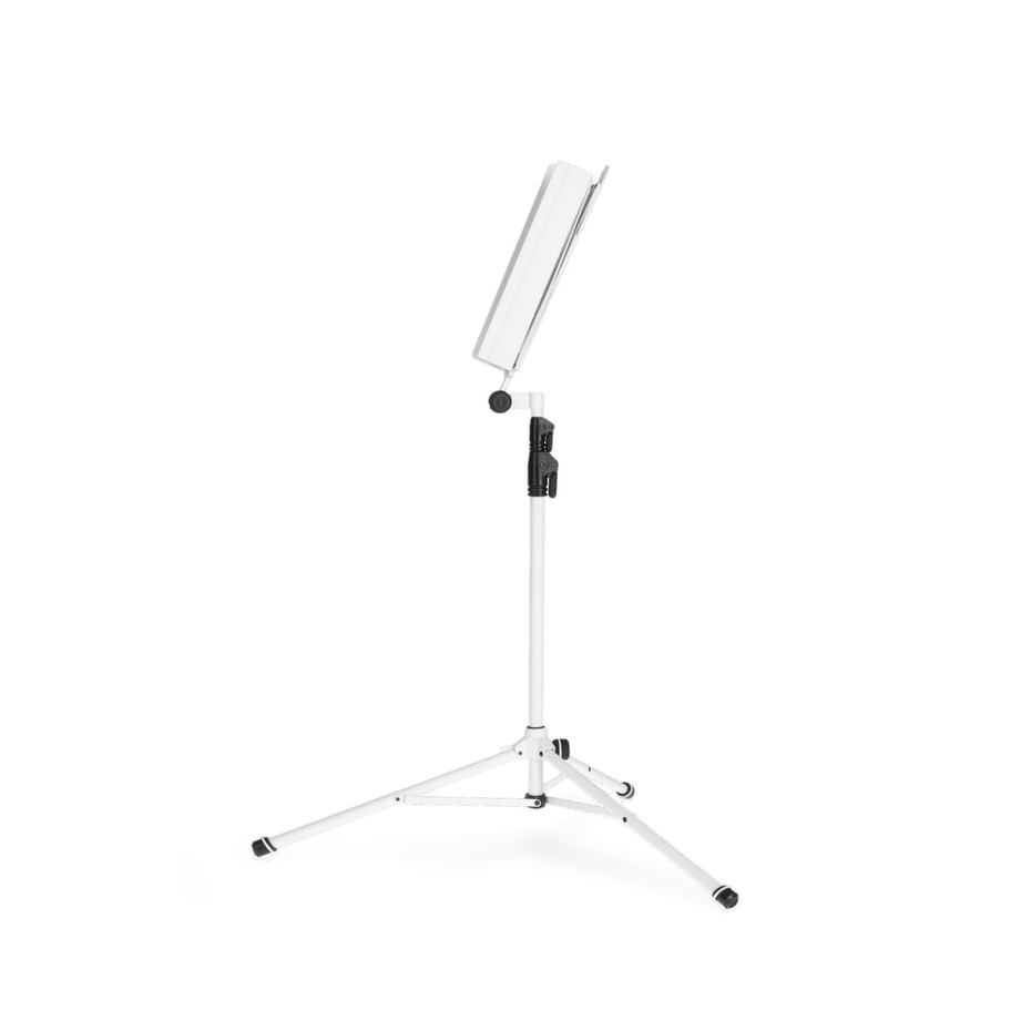Gravity NS 441 W
